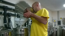 El primer vino de Ferrolterra, rematándose en bodega