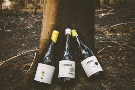 Calendario de citas de Bodegas El Paraguas