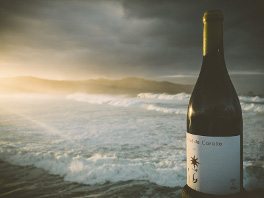 Embotellada la añada más limitada de Fai un Sol de Carallo, la 2016