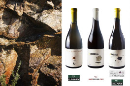 La crítica internacional insiste en la mejoría de los vinos de Bodegas El Paraguas