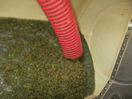 2018, la añada más generosa con Bodegas El Paraguas