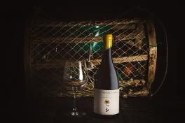 Fai un Sol de Carallo 2016, homenaje al gran Freijido