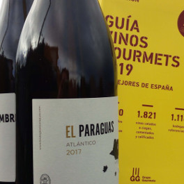 Mejores vinos de España en la Guía Gourmets 2019