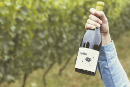 El Paraguas Atlántico, 94 puntos en la Guía Peñín 2020