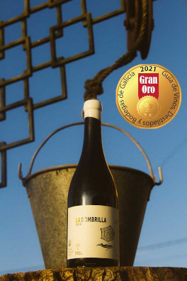 The best valued wines in the 2021 Guía de Vinos y Bodegas de Galicia
