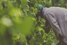 Renovación del acuerdo con la Asociación Nuestra Señora de Chamorro