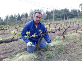 Renovación del acuerdo con la Asociación Nuestra Señora de Chamorro