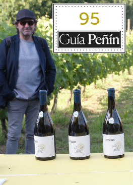 Los vinos de Bodegas El Paraguas repiten éxito en la Guía Peñín 2024