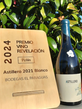 Astillero 2021, Revelation Wine in the Guía Peñín 2024
