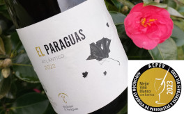 El Paraguas Atlántico 2022, best wine from Spain for the specialized press