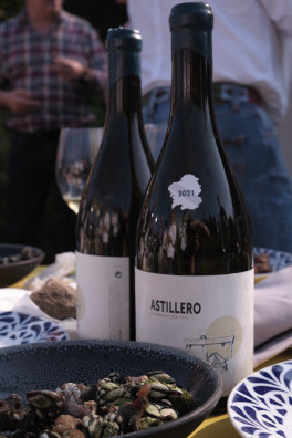 Guía Peñín entregará el Premio a Vino Revelación en Ferrol