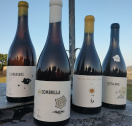 Los vinos de Bodegas El Paraguas, encumbrados en la Guía Peñín 2025