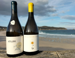 La guía Wine Up aplaude a los vinos de Bodegas El Paraguas