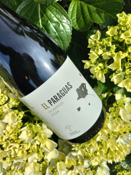 El Paraguas Atlántico 2024, 1.500 cajas vendidas en menos de un mes