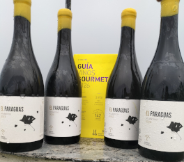 El Paraguas Atlántico repite podio de la Guía Gourmets 2026