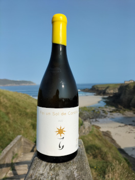 Los vinos de Bodegas El Paraguas, distinguidos en la Guía Peñín 2027